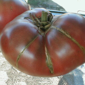 Cherokee Purple Tomato