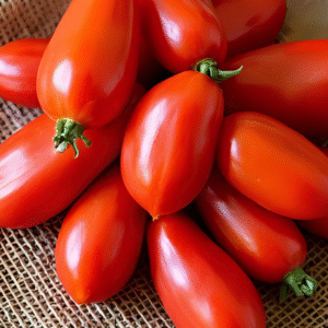 Amish Paste Heirloom Tomato