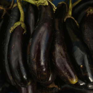 Black Beauty Eggplant (1)