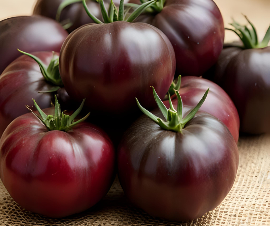 Black Prince Tomatoes in a pile on burlap on a table