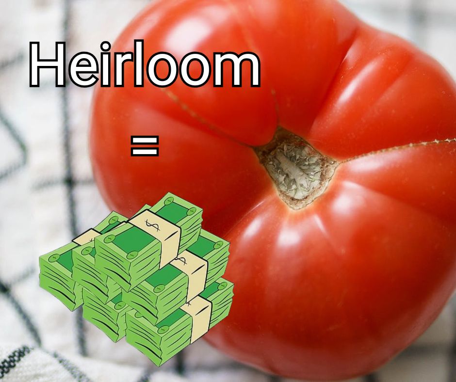 Blog Post Main Image - Heirloom Tomatoes are Expensive!